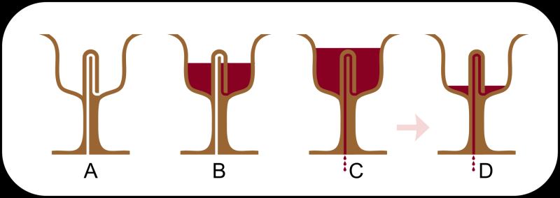 0m2kltihnvetlocq-635967467038693156.jpg